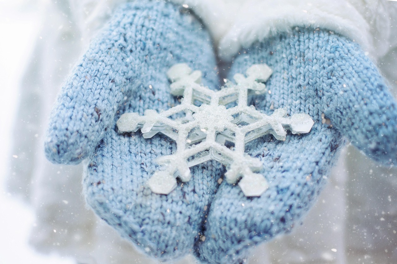 Holidays & Seasonal