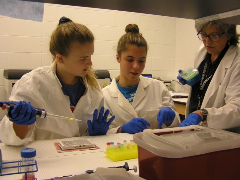 Science ATL Camp